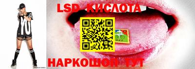 ПСИЛОЦИБИНОВЫЕ ГРИБЫ Новозыбков