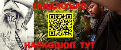 крисы Новокубанск