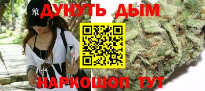 крисы Новокубанск