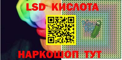 крисы Новокубанск