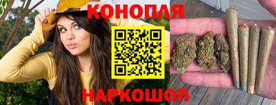 ПСИЛОЦИБИНОВЫЕ ГРИБЫ Новозыбков