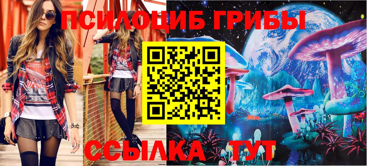 Галлюциногенные грибы GOLDEN TEACHER Тавда