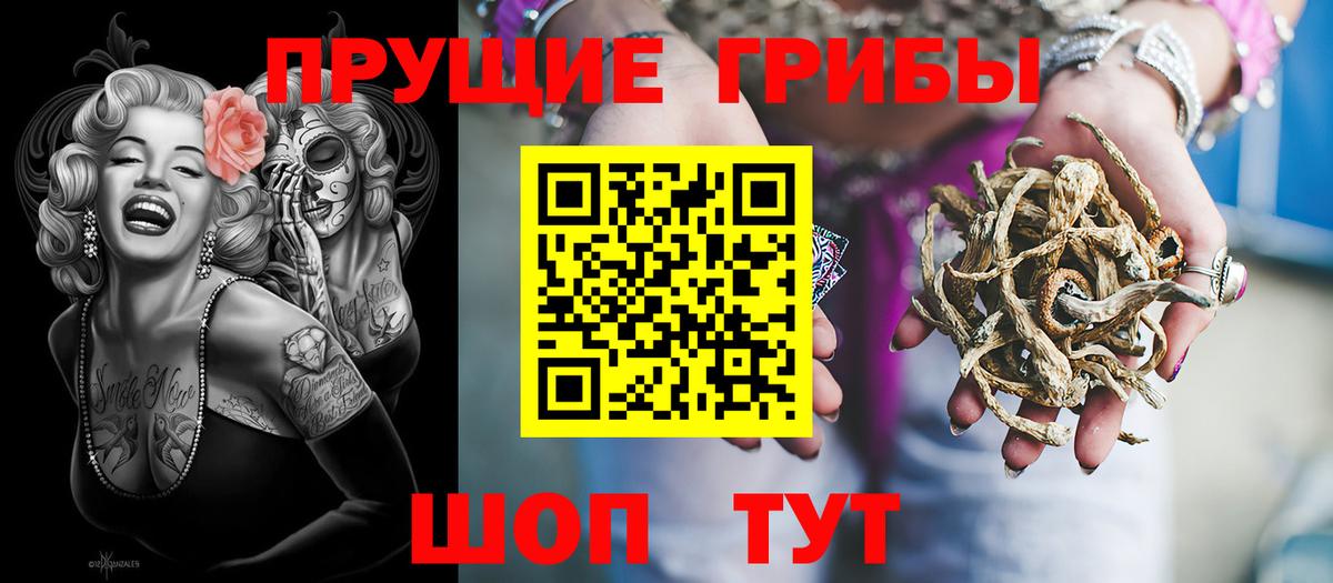 Псилоцибиновые грибы Psilocybine cubensis  Вход с VPN  Тавда  Галлюциногенные грибы Magic Shrooms 
